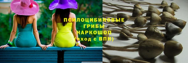 шишки Богданович