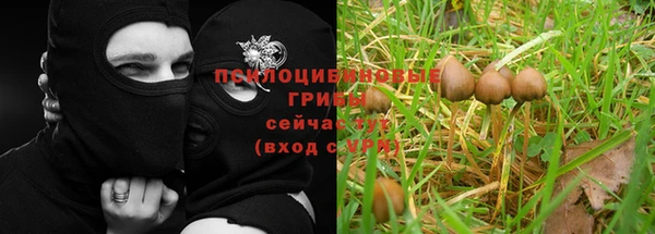 jwh Богородск