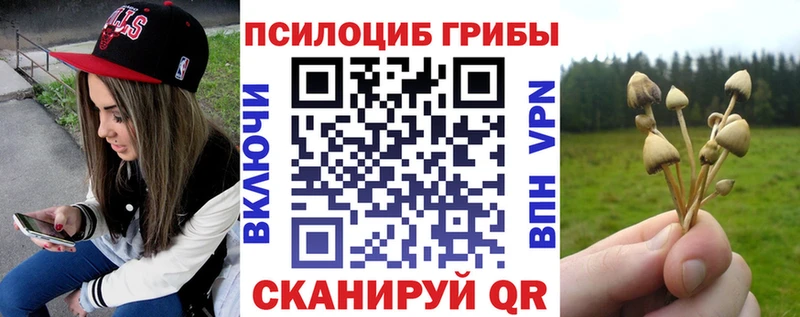 Галлюциногенные грибы Psilocybine cubensis  где можно купить наркотик  Белорецк 